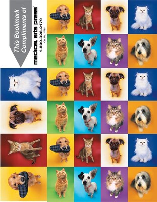Photo Image 3-Up Laser Postcards with Bookmark, Dogs/Cats Checkered, 150/Pk