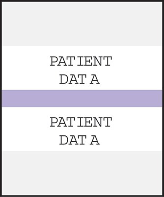 Medical Arts Press® Standard Preprinted Chart Divider Tabs; Patient Data, Lavender