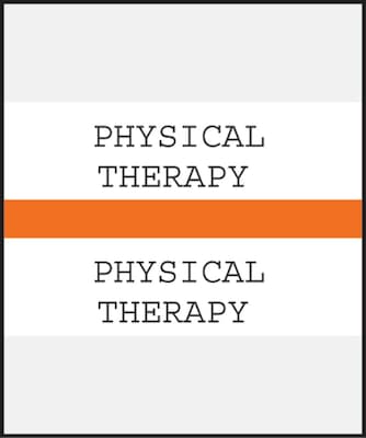 Medical Arts Press® Standard Preprinted Chart Divider Tabs; Physical Therapy, Orange