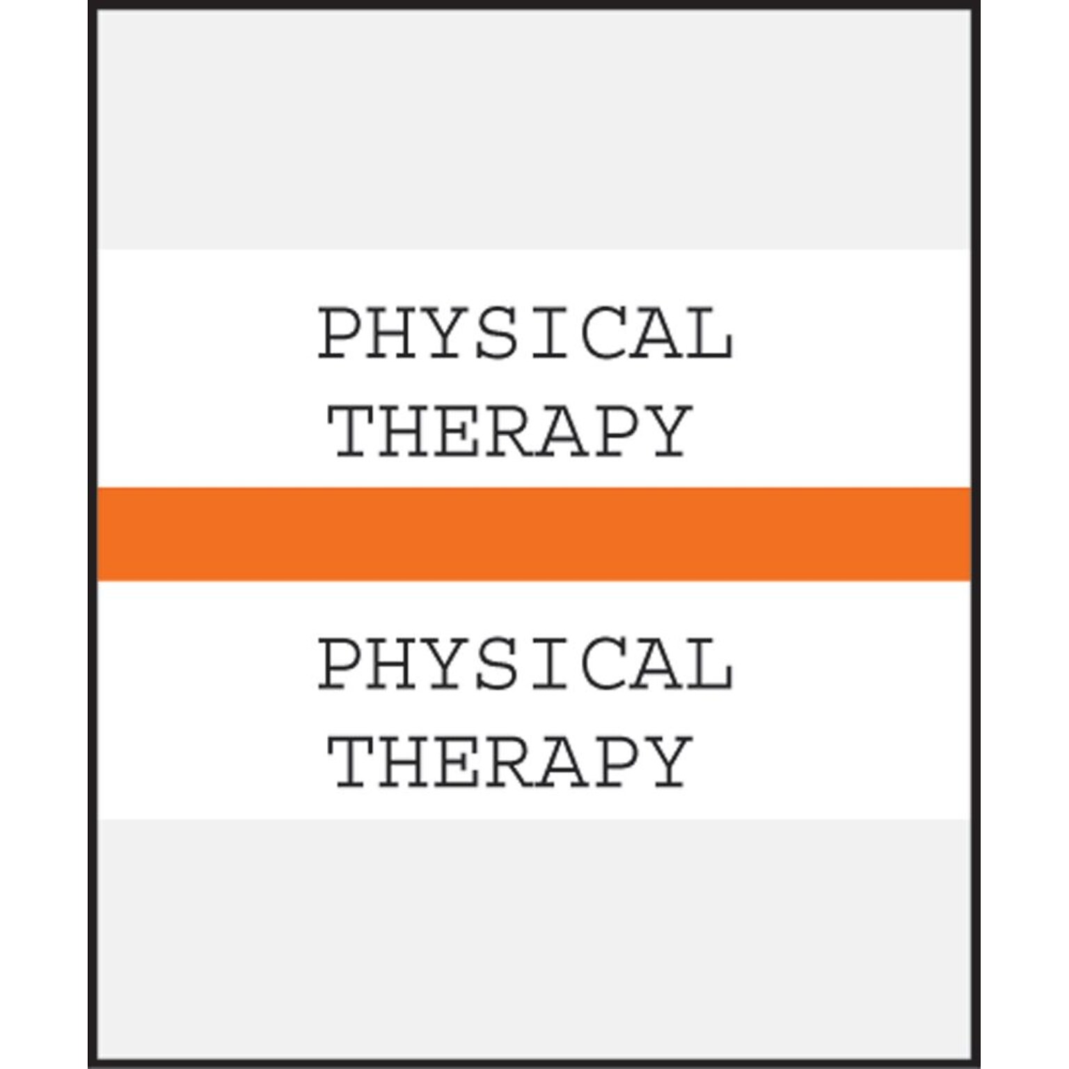 Medical Arts Press® Standard Preprinted Chart Divider Tabs; Physical Therapy, Orange