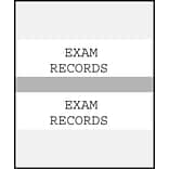 Medical Arts Press® Standard Preprinted Chart Divider Tabs; Exam Records, Gray