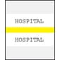 Medical Arts Press® Standard Preprinted Chart Divider Tabs; Hospital, Yellow