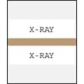 Medical Arts Press® Standard Preprinted Chart Divider Tabs; X-Ray, Tan