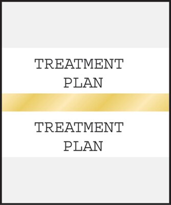 Medical Arts Press® Standard Preprinted Chart Divider Tabs; Treatment Plan, Gold