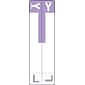 Medical Arts Press® L and Y Name Labels, Lavender, Smead® Alpha-Z® Compatible