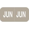 Medical Arts Press® Smead® Compatible Month Labels; June