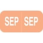 Medical Arts Press® Smead® Compatible Month Labels; September