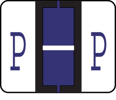 Medical Arts Press® TAB® Products Compatible Alpha Sheet Style Labels; Letter P