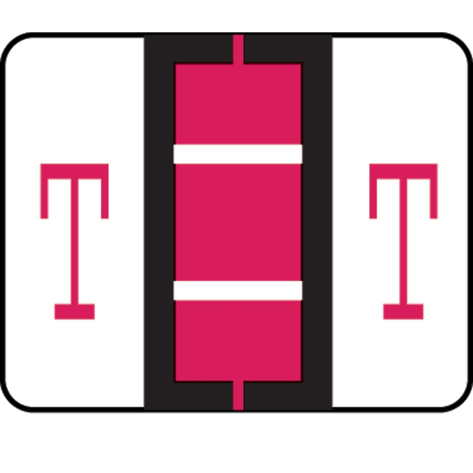 Medical Arts Press® TAB® Products Compatible Alpha Sheet Style Labels; Letter T