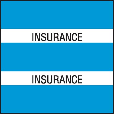 Medical Arts Press® Large Chart Divider Tabs, Insurance, Lt. Blue