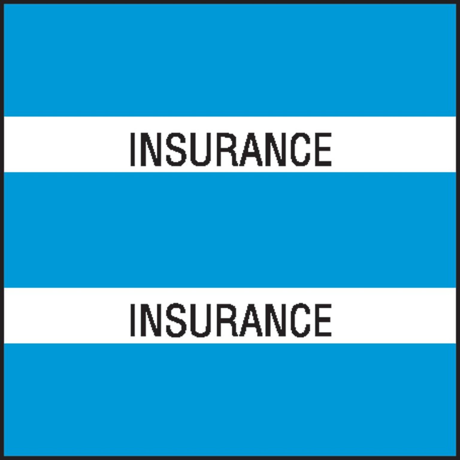 Medical Arts Press® Large Chart Divider Tabs, Insurance, Lt. Blue