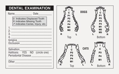 Medical Arts Press® Veterinary Examination Medical Labels, Dog & Cat Dental, White, 2-1/2x4, 100 La