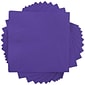 JAM Paper Beverage Napkin, 2-ply, Purple, 40 Napkins/Pack (5255620727)