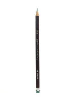 Derwent Coloursoft Pencils, Grey Green C390, 12/Pack (98218-Pk12)