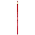 Prismacolor Col-Erase Colored Pencils, Scarlet Red, 24/Pack (33557-Pk24)