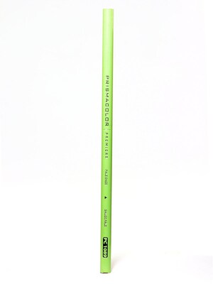 Prismacolor Premier Colored Pencils Pale Sage 1089 [Pack Of 12]