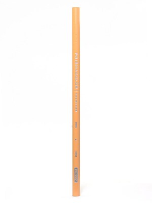 Prismacolor Premier Colored Pencils Beige 997 [Pack Of 12]