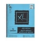 Canson Xl Mix Media Pads 11 In. X 14 In. Pad Of 60 Sheets Wire Bound [Pack Of 2]