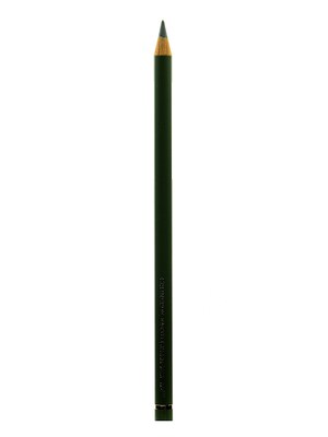 Faber-Castell Polychromos Artist Colored Pencils Earth Green 172 Pack Of 12