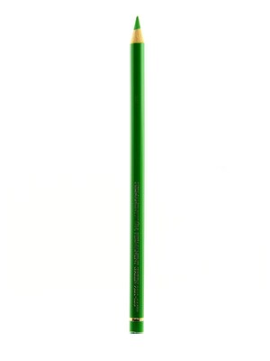 Faber-Castell Polychromos Artist Colored Pencils, Permanent Green, 266 12/Pack