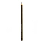 Faber-Castell Polychromos Artist Colored Pencils, Burnt Umber No 280, 12/Pack (60425-Pk12)