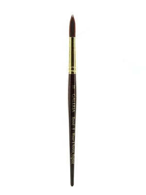 Winsor And Newton Galeria Short Handled Brushes Round 12