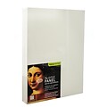 Ampersand The Artist Panel Canvas Texture Cradled Profile 9 In. X 12 In. 1 1/2 In. [Pack Of 2]