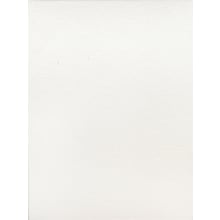 Fredrix Canvas Boards 8 In. X 10 In. Each [Pack Of 12]