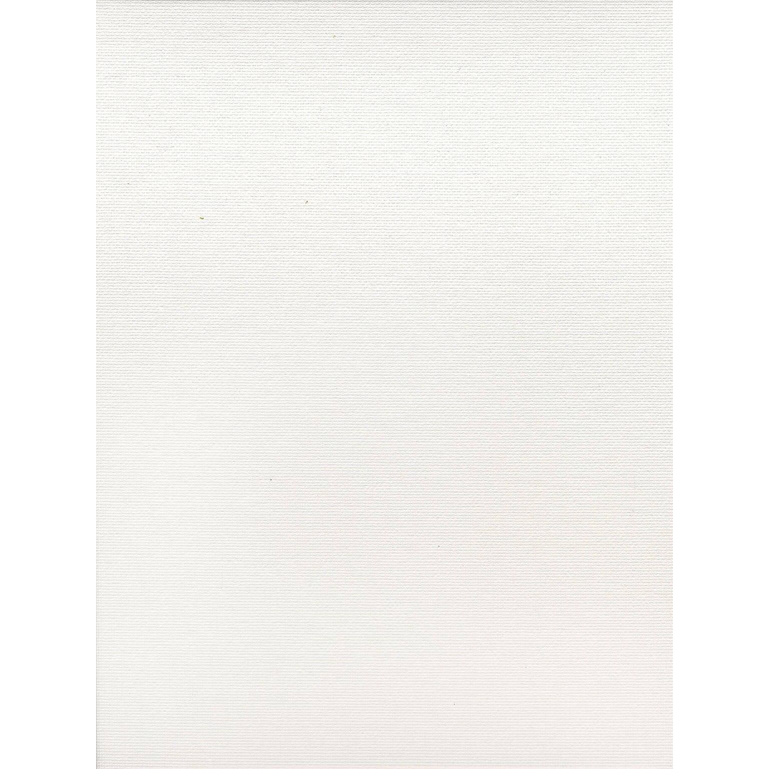 Fredrix Canvas Boards 8 In. X 10 In. Each [Pack Of 12]