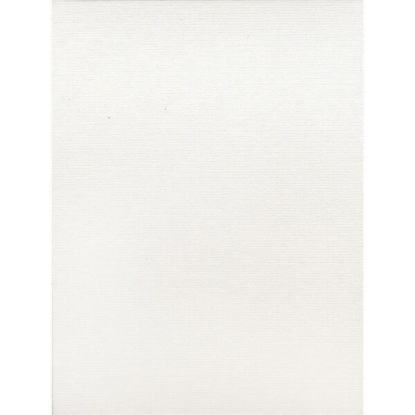 Fredrix Canvas Boards 8 In. X 10 In. Each [Pack Of 12]