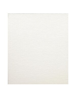 Fredrix Canvas Boards 10 In. X 10 In. Each [Pack Of 12]