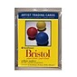 Strathmore Artist Trading Cards 300 Series Bristol Vellum Pack Of 20 [Pack Of 6]