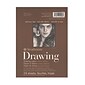 Strathmore 400 Series Drawing Paper Pad 6 In. X 8 In. [Pack Of 6]