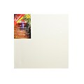 Fredrix Red Label Stretched Cotton Canvas 18 In. X 18 In. Each