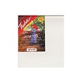 Fredrix Red Label Stretched Cotton Canvas 12 In. X 12 In. Each [Pack Of 2]