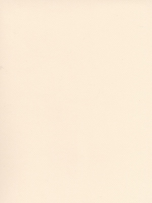 Canson Mi-Teintes Tinted Paper Lily 19 In. X 25 In. [Pack Of 10]