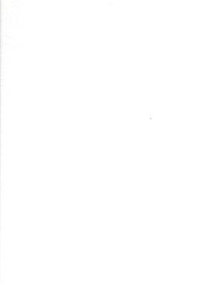 Canson Mi-Teintes Tinted Paper White 19 In. X 25 In. [Pack Of 10]