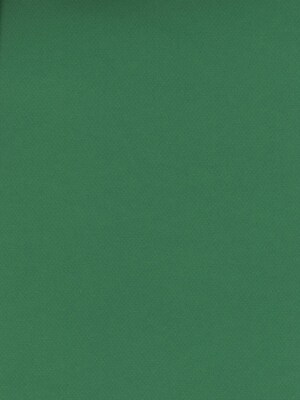 Canson Mi-Teintes Tinted Paper Viridian 8.5 In. X 11 In. [Pack Of 25]