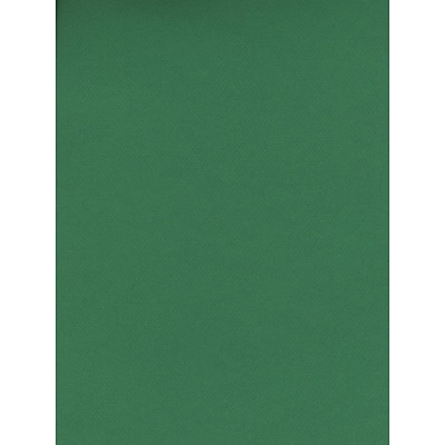 Canson Mi-Teintes Tinted Paper Viridian 8.5 In. X 11 In. [Pack Of 25]