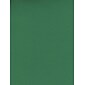 Canson Mi-Teintes Tinted Paper Viridian 8.5 In. X 11 In. [Pack Of 25]