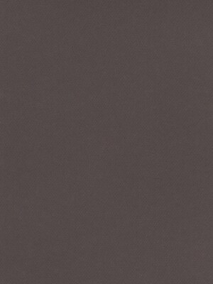 Canson Mi-Teintes Tinted Paper Dark Gray 19 In. X 25 In. [Pack Of 10]