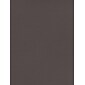 Canson Mi-Teintes Tinted Paper Dark Gray 19 In. X 25 In. [Pack Of 10]