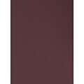 Canson Mi-Teintes Tinted Paper Burgundy 19 In. X 25 In. [Pack Of 10]
