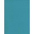 Canson Mi-Teintes Tinted Paper Southern Seas 19 In. X 25 In. [Pack Of 10]