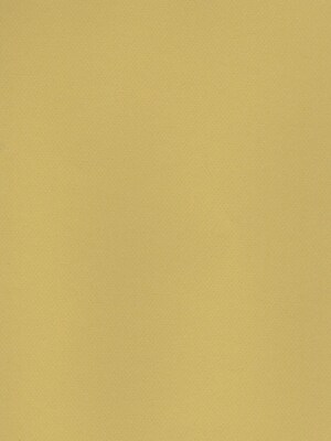Canson Mi-Teintes Tinted Paper Anise 19 In. X 25 In. [Pack Of 10]