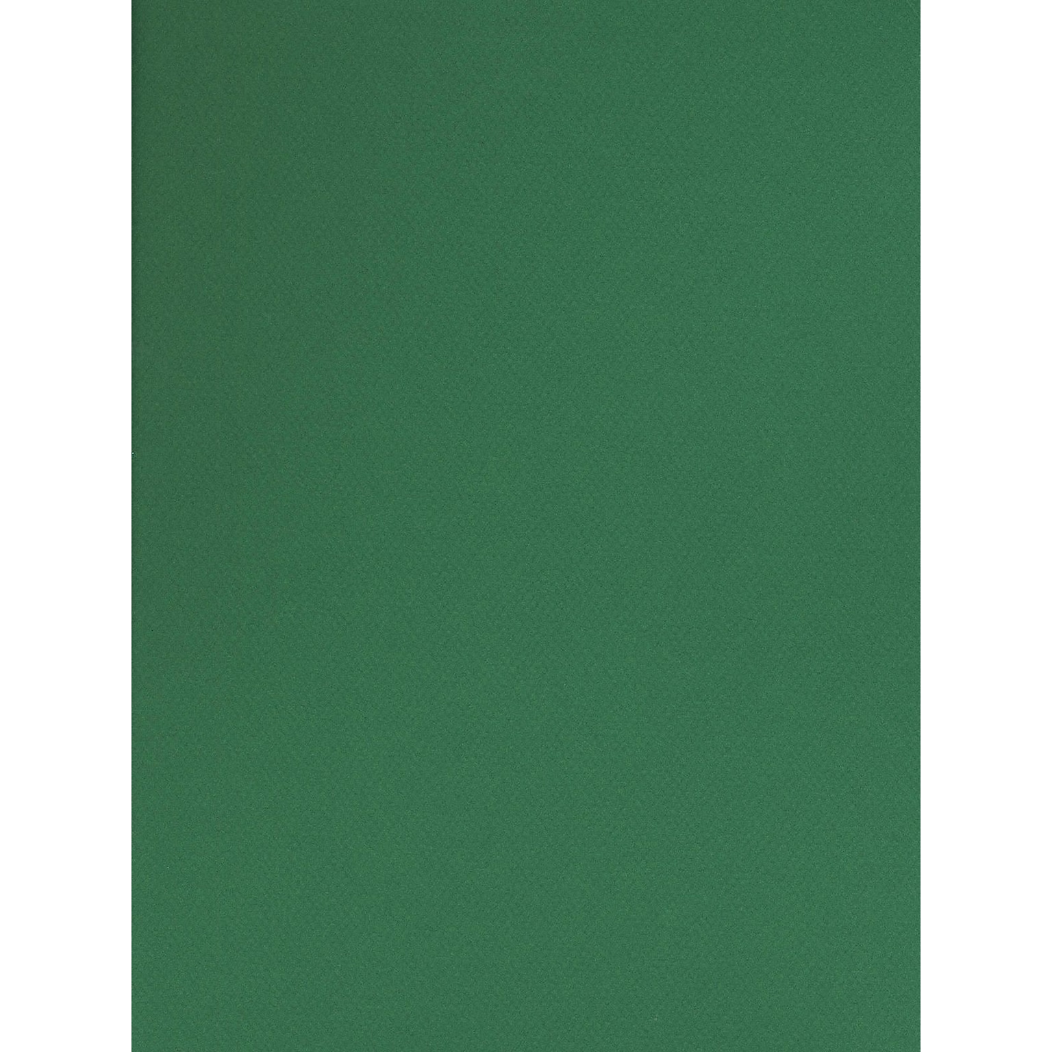 Canson Mi-Teintes Tinted Paper Viridian 19 In. X 25 In. [Pack Of 10]