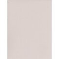 Canson Mi-Teintes Tinted Paper Pearl Grey 19 In. X 25 In. [Pack Of 10]
