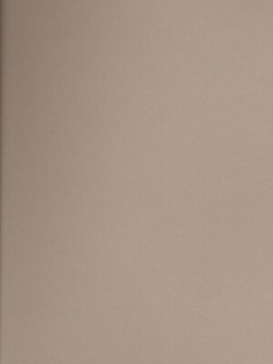 Canson Mi-Teintes Tinted Paper Pearl 19 In. X 25 In. [Pack Of 10]