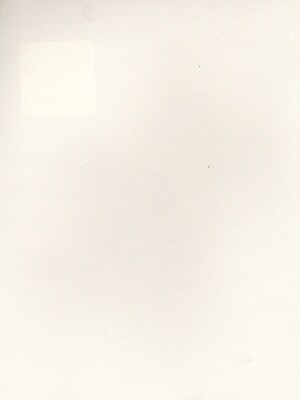 Canson Mi-Teintes Tinted Paper White 8.5 In. X 11 In. [Pack Of 25]