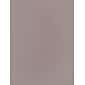 Canson Mi-Teintes Tinted Paper Flannel Grey 8.5 In. X 11 In. [Pack Of 25]